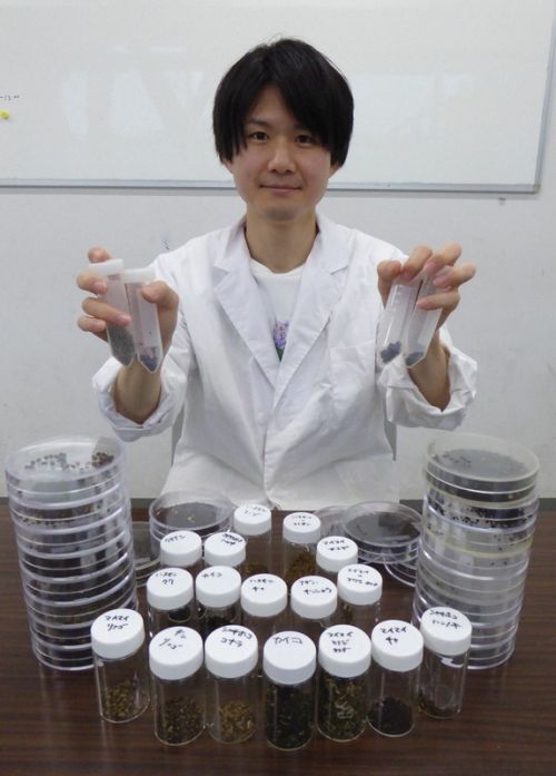 takeshi maruoka takeshi maruoka